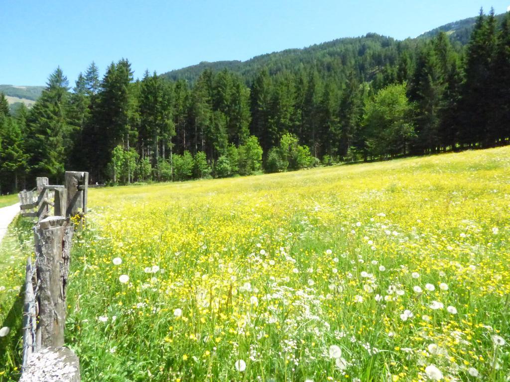 Gasthof Dorfschenke Stall Dış mekan fotoğraf
